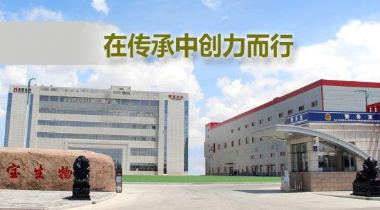 �ڴ����д������� �ŵ�88������վ���ﱻ���衰���ɹ����ֺš��ƺ�